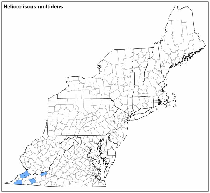 Helicodiscus multidens Range Map